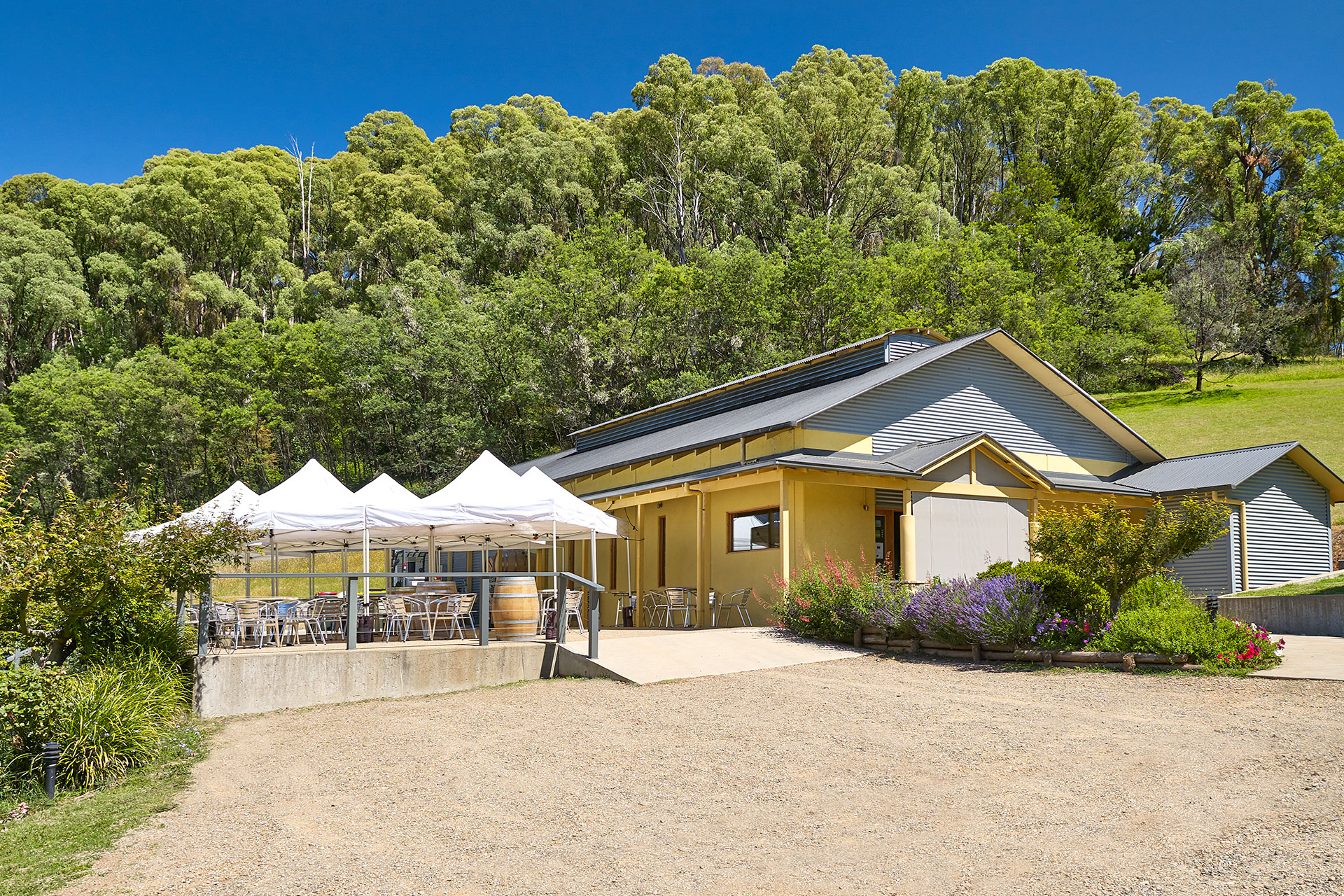 Ringer Reef Winery